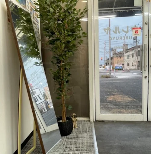 出張買取専門店ウレルヤ豊橋店　スマホ買取　口コミ　レビュー